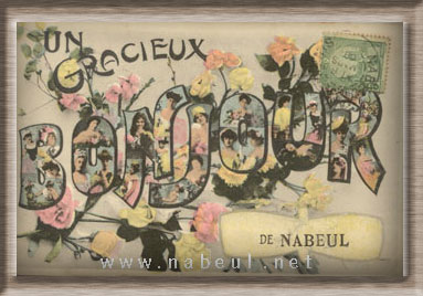 Bienvenue sur nabeul.net